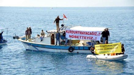 Akdeniz foklarının yaşam alanına orkinos çiftliği için ÇED başvurusu yapıldı