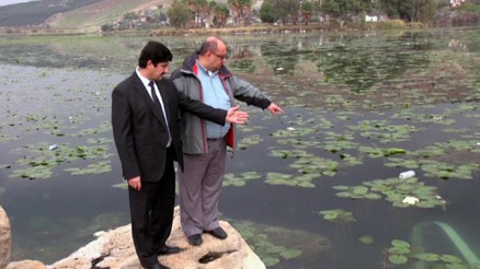 Nilüfer çiçekli Gölbaşı Gölü, temizlenecek