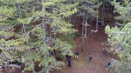 Başkentin Kaz Dağlarına yoğun ilgi