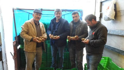 Fındıklı Ziraat Odasından kivi üreten üyelerine prim desteği