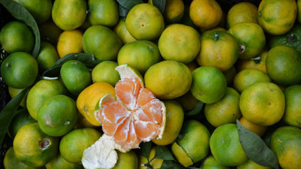 ‘Narenciye için Çin pazarı açılmalı’