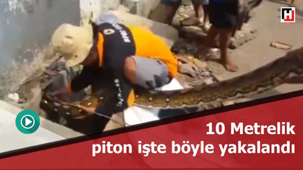 Endonezya’da dev piton bir evin su borusuna gizlendi