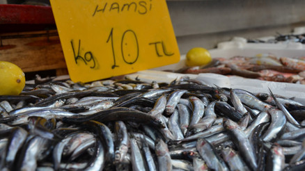 Hamsi fiyatı yükselişe geçebilir