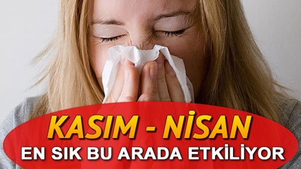 Sinüzit nedir Sinüzit nasıl geçer Sinüzit nedir Sinüzit nasıl geçer