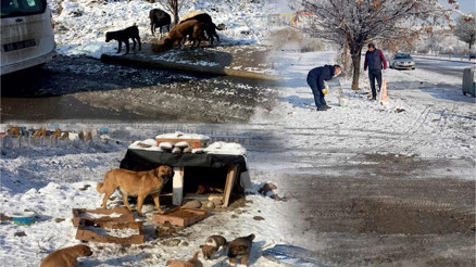 Can dostlar unutulmadı