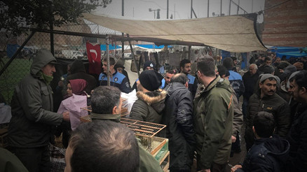 İstanbul’da şok operasyon Doğaya salındılar...