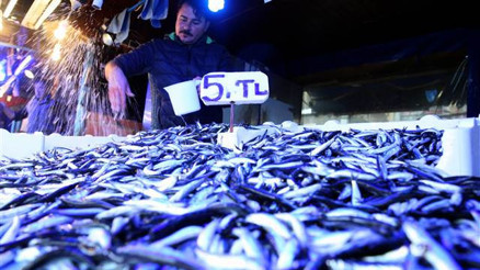 864 bin 942 kilogram hamsi ihracatı yapıldı