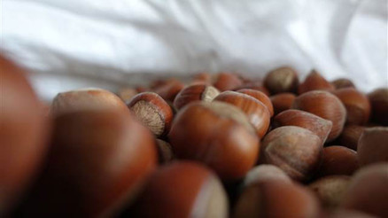 Fındık ihracatının yüzde 14,2si Giresundan yapıldı