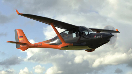 Türk Kartalına Almanyadan ödül