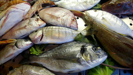 Hangi balık nasıl pişirilir