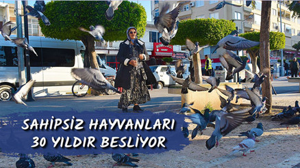 Sahipsiz hayvanları 30 yıldır besliyor