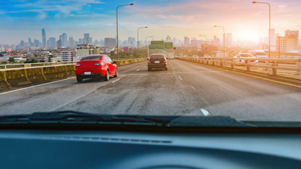 Ölümsüzlük yarışı Ölümsüzlük yarışı