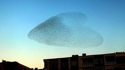 Kırklarelinde şaşırtan görüntü... İzleyenler hayran kaldı