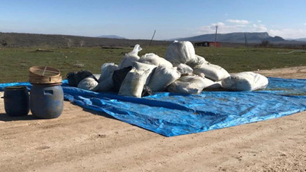 Diyarbakır’da PKKya büyük darbe