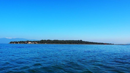Ayvalık´ın nergis dolu Çiçek Adası