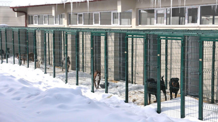 Can dostlara yeni barınak