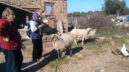 Yerli Robinsonlar 15 yıldır adada yaşıyor Yerli Robinsonlar 15 yıldır adada yaşıyor