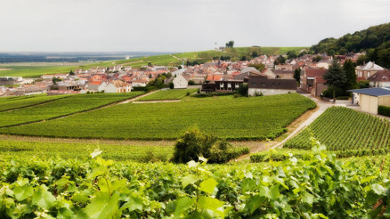 Şampanya güzeli: Epernay Şampanya güzeli: Epernay