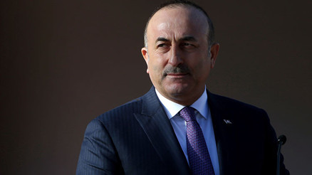 Dışişleri Bakanı Çavuşoğlundan Karadzic mesajı Dışişleri Bakanı Çavuşoğlundan Karadzic mesajı
