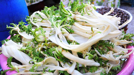 Ayvalıkta Doğa Festivali heyecanı 11 Nisanda başlıyor