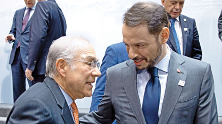 Türkiyenin IMFye ihtiyacı yok