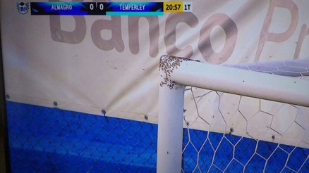 Sahaya arılar saldırdı Korku dolu o anlar