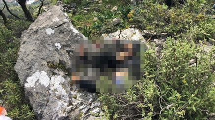 Son dakika... Fethiyede paraşüt kazası: 2 ölü