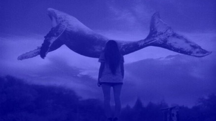 Mavi Balinanın sonunu Google getirecek