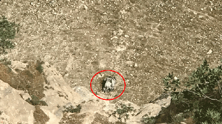 Siirt’te akılalmaz kaza Son anda atladı…