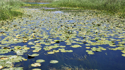 Koparan yandı Cezası 81 bin TL