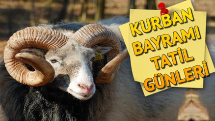 Kurban Bayramı bu sene ne zaman İşte, 2019 Kurban Bayramı günleri