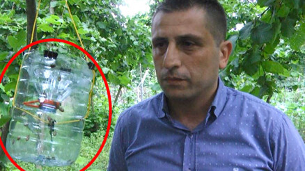 Bu yıl yeniden ortaya çıktı Gürcistan üzerinden Türkiyeye geliyor... Bu yıl yeniden ortaya çıktı Gürcistan üzerinden Türkiyeye geliyor...