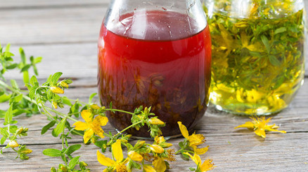 Kantaron yağı nasıl yapılır İşte kantaron yağı tarifi ve püf noktaları