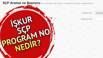 İŞKUR SÇP program no nedir