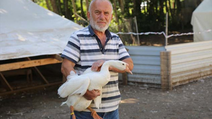 Çiftlik kurdu Yumurtadan günde 1500 lira kazanıyor Çiftlik kurdu Yumurtadan günde 1500 lira kazanıyor