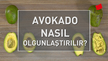 Avokado Nasıl Olgunlaştırılır | Mucize Lezzetler