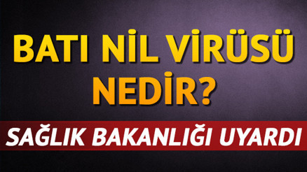 Batı Nil Virüsü nedir Batı Nil Virüsü nasıl bulaşır Batı Nil Virüsü nedir Batı Nil Virüsü nasıl bulaşır