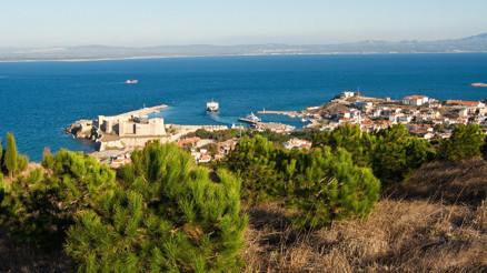 Bağbozumu öncesi, Tenedos’tan haberler