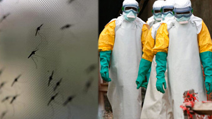 KKTC Tabipler Birliği Başkanı’ndan çok önemli Batı Nil Virüsü açıklaması