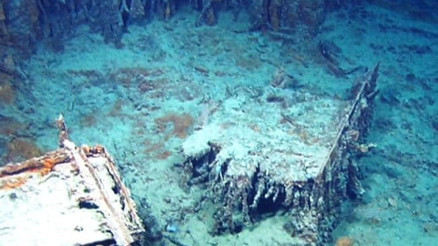 Okyanusun derinliklerinde inanılmaz görüntü: Çürüdükçe kayboluyor...