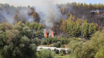 Son dakika... Perge Antik Kenti yakınında orman yangını
