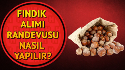 TMO fındık alımı randevu işlemi nasıl yapılır TMO 2019 fındık fiyatları