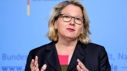 Almanya, böcekleri korumak için ‘glifosat’ı yasaklıyor