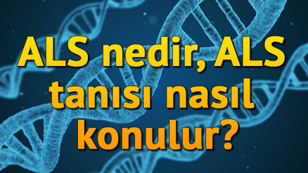 ALS hastalığı nedir, ALS tanısı nasıl konulur ALS hastalığı nedir, ALS tanısı nasıl konulur