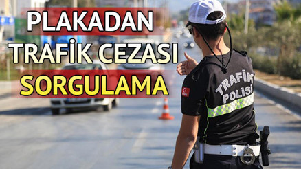Plakadan trafik cezası nasıl sorgulanır E Devlet trafik ceza öğrenme ekranı