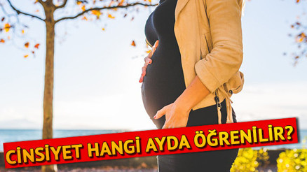 Anne karnındaki bebeğin cinsiyeti ne zaman belli olur Cinsiyet kaçıncı haftada anlaşılır