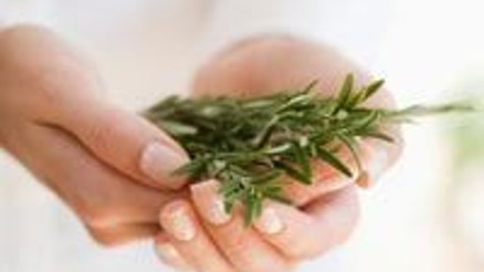 Şifalı bitkilerin doğru kullanım rehberi