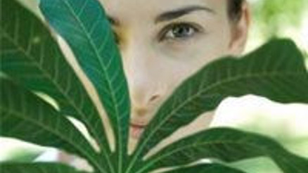 Şifalı bitki tozları nasıl zayıflatıyor