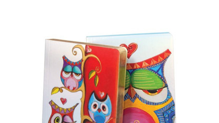 Eğlenceli Ve Sevimli Baykuşlu Bloknot Serisi