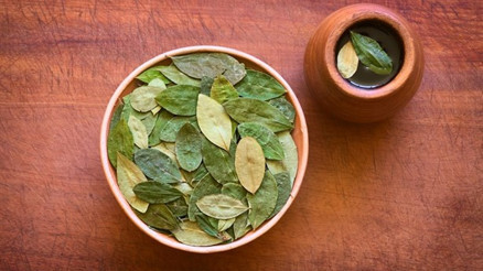 Mate Çayının Faydaları Neler Mate Çayı Nasıl Hazırlanır